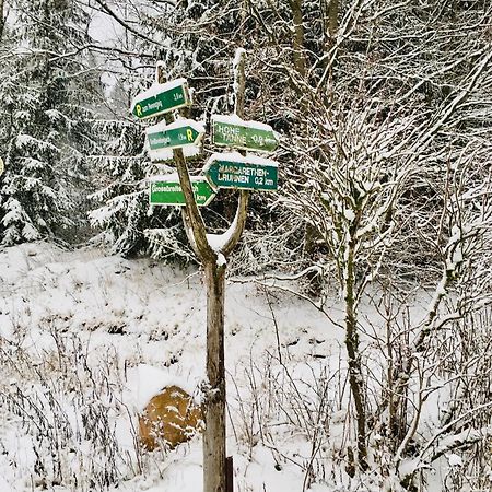 Gaestehaus Hohetanne1 Grossbreitenbach Bagian luar foto