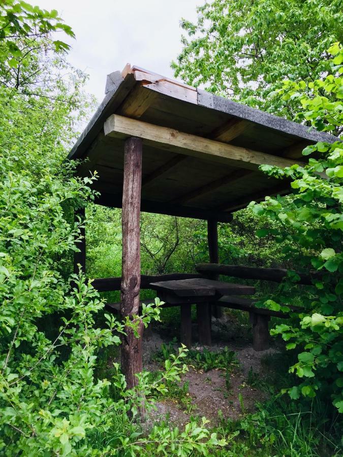 Gaestehaus Hohetanne1 Grossbreitenbach Bagian luar foto