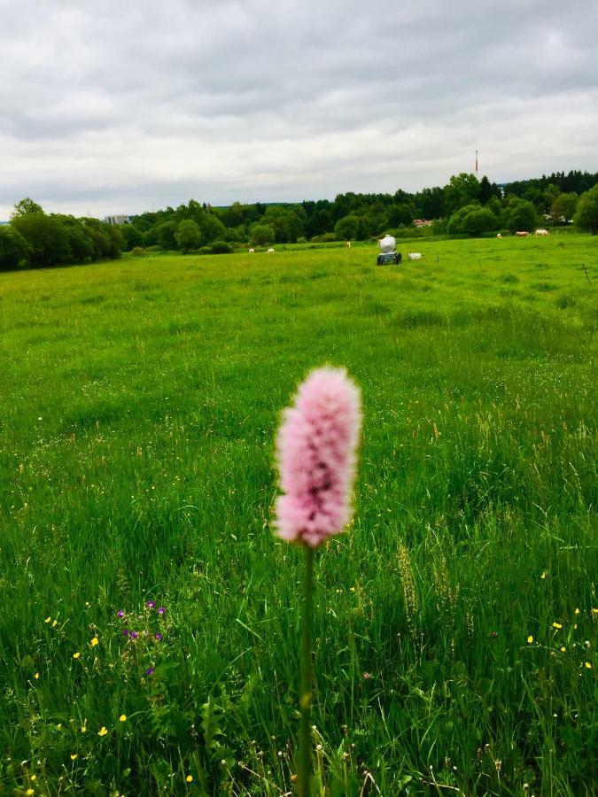 Gaestehaus Hohetanne1 Grossbreitenbach Bagian luar foto