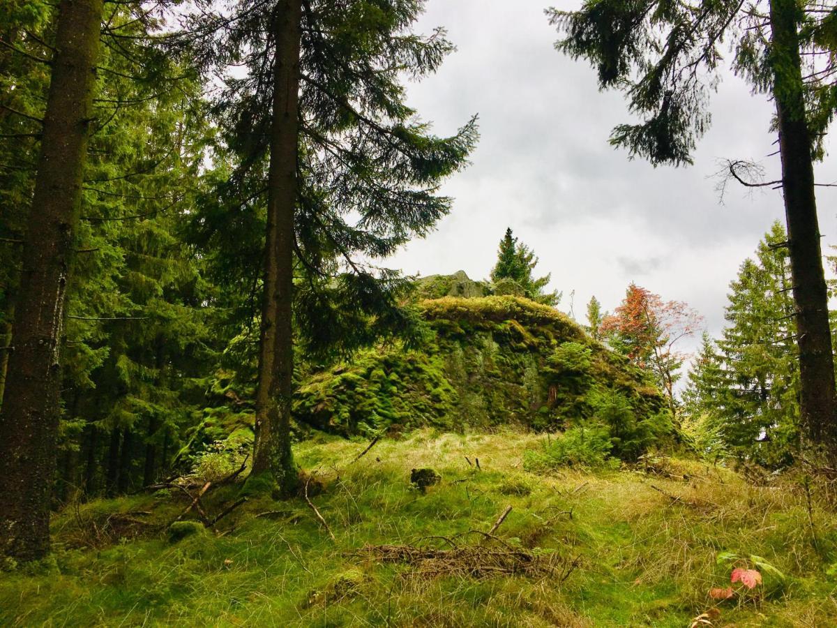 Gaestehaus Hohetanne1 Grossbreitenbach Bagian luar foto