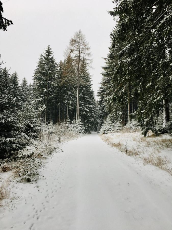 Gaestehaus Hohetanne1 Grossbreitenbach Bagian luar foto