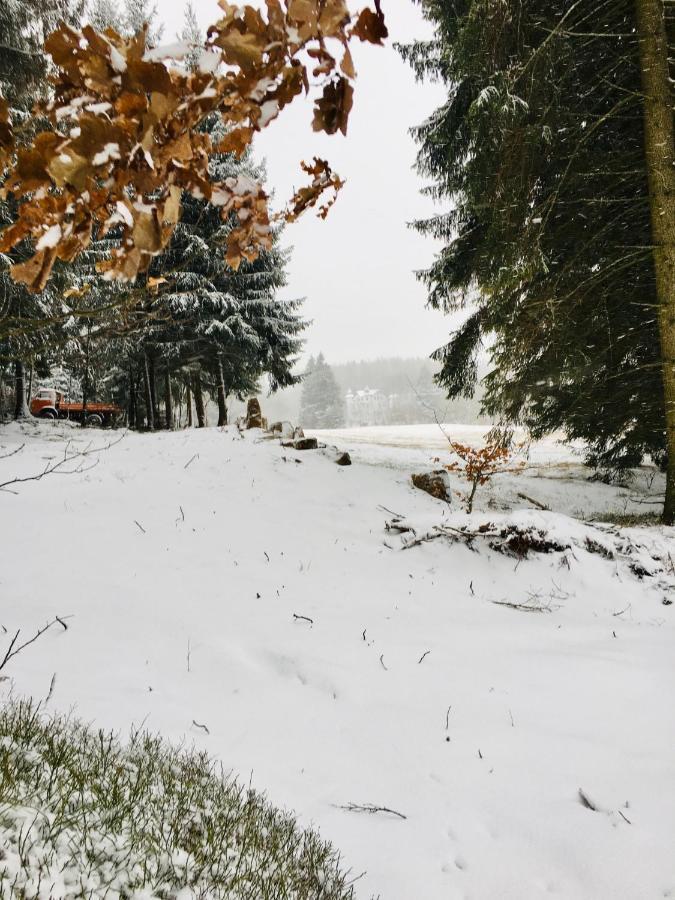 Gaestehaus Hohetanne1 Grossbreitenbach Bagian luar foto